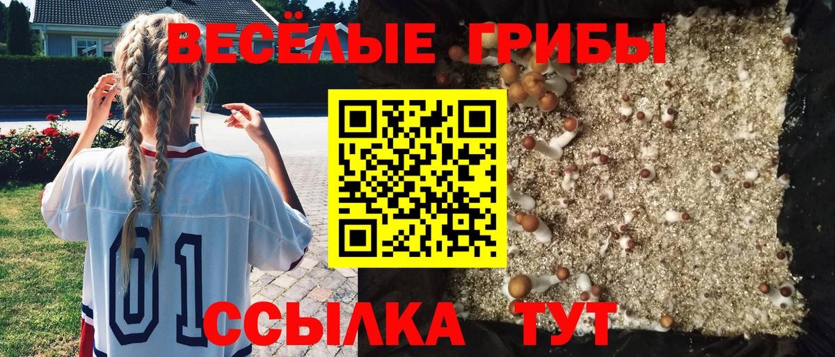 Псилоцибиновые грибы мухоморы  Вход с VPN  Кашира  Псилоцибиновые грибы MAGIC MUSHROOMS 